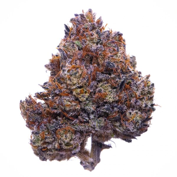 purple haze strain