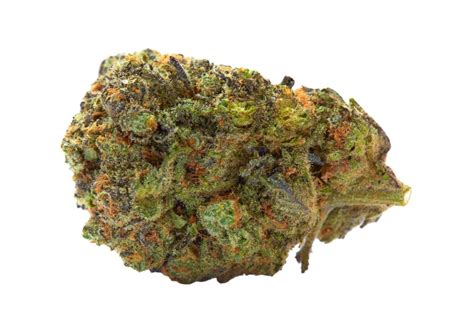 What Are the Effects of Tropicana Cookies Strain